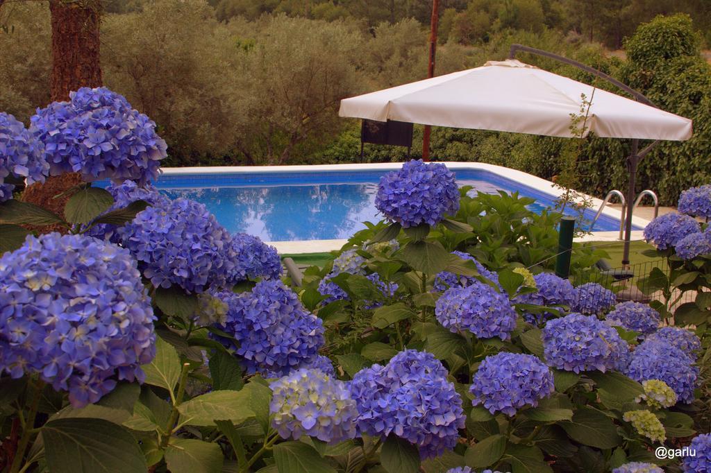 Casa Rural El Pilar Асебо Екстер'єр фото