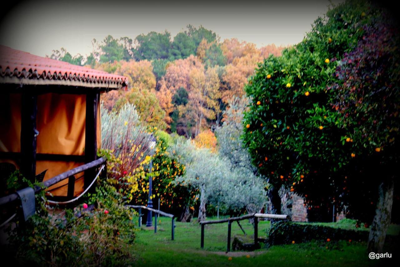 Casa Rural El Pilar Асебо Екстер'єр фото